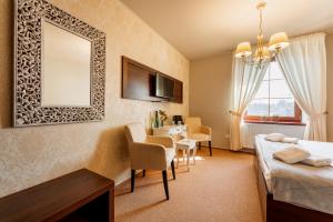Televízia a/alebo spoločenská miestnosť v ubytovaní Hotel Plumlov