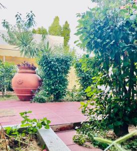 a garden with a large vase and some plants at Belle villa avec jardin Ennacer in Ariana