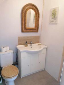 ein Badezimmer mit einem Waschbecken, einem WC und einem Spiegel in der Unterkunft gite La Forêt in Ungersheim
