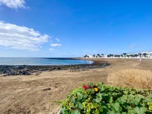 a beach with a bunch of flowers and the ocean at Princesa Ico, cerca del mar in San Bartolomé