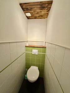 La salle de bains est pourvue de toilettes avec du carrelage vert et blanc. dans l'établissement Appartement 6 personnes - lit King size - balnéo - wifi, au Puy-en-Velay