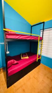 sypialnia z 2 łóżkami piętrowymi w pokoju w obiekcie Night Space hostel w mieście Kalpatta