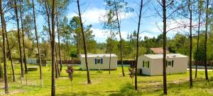 twee tiny houses in een veld met bomen bij Clareira in Quiaios