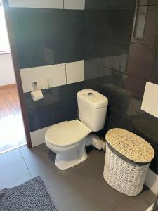 a bathroom with a toilet and a trash can at Kawalerki w Śródmieściu 1 in Bydgoszcz