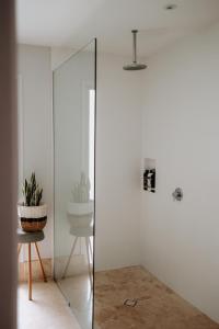 a glass shower in a room with a chair and a plant at Gorgeous 5 bedroom beach house. Dog/Kid Friendly. in Marcoola