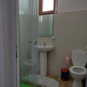 ein Bad mit einer Dusche, einem WC und einem Waschbecken in der Unterkunft Stomici Guesthouse in Ndërlysaj