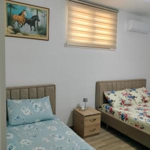 1 Schlafzimmer mit 2 Betten und einem Fenster in der Unterkunft Stomici Guesthouse in Ndërlysaj