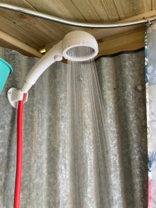 a shower head with a shower curtain at Moon Pod in Westfield