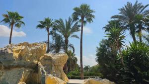 Zahrada ubytování Mediterranean Sunrise Apartments A1