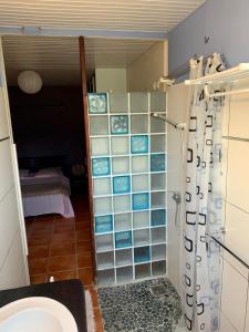 La salle de bains est pourvue d'un rideau de douche et de toilettes. dans l'établissement Studiodurivage2, à Ducos