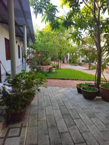 a courtyard of a house with trees and plants at Cay Phuong Guesthouse in Mui Ne