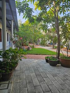 a courtyard with trees and potted plants in front of a building at Cay Phuong Guesthouse in Mui Ne