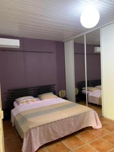 - une chambre avec un grand lit et un miroir dans l'établissement Studiodurivage2, à Ducos
