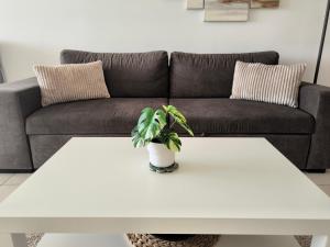 Posezení v ubytování Mediterranean Sunrise Apartments A1