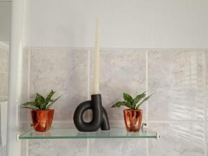 eine Kerze auf einem Glasregal mit zwei Pflanzen in der Unterkunft Villa del Sol Margate in Margate