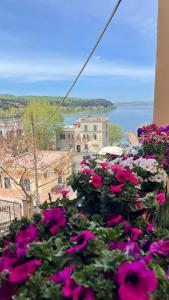 a bunch of pink flowers sitting on a balcony at Il Sogno del Lago in Anguillara Sabazia