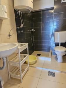a bathroom with a sink and a toilet at Apartment Cezar in Krimovice +11 photos