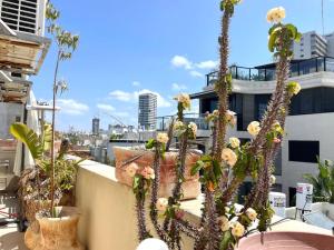 a group of plants on top of a building at Two Bedrooms Duplex Apartment l Bugrashov Street l by Bookiz in Tel Aviv