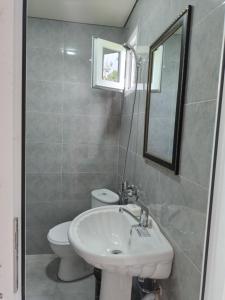 a bathroom with a sink and a toilet and a mirror at Багратиони 54 in Kobuleti