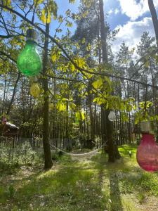 dos coloridos tarros de cristal colgando de los árboles en un bosque en Urocza chatka w lesie nad wodą, en Skubianka