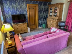 a living room with a pink couch and a tv at Origin'alsace in Kaysersberg