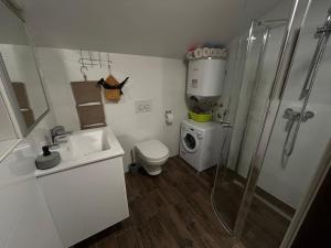 a bathroom with a shower and a toilet and a sink at Apartmani Đurđica in Primošten