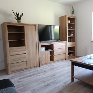 a living room with a tv and wooden entertainment centers at A i M in Wisełka