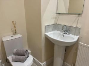 y baño con lavabo, aseo y espejo. en Thurnams House, Ground Floor Apt en Carlisle