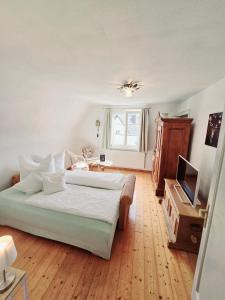 ein Schlafzimmer mit einem Bett und einem TV in der Unterkunft Apartment Rose in Forbach