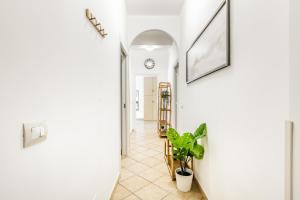a hallway with a plant and a clock on the wall at 'Villa Vènere Deluxe' 50mt Sea-Free Parking-Garden in Terracina
