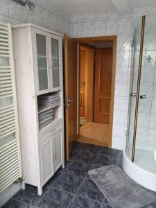 y baño con ducha y lavamanos. en Drei Zimmer Appartment mit Küche & Bad, en Weingarten
