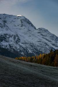 a snow covered mountain with trees in front of it at Cresta Palace Celerina in Celerina
