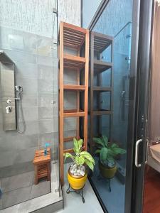 a bathroom with a shower with two plants in it at The Paralia in Brunibuma