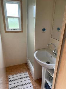 a bathroom with a sink and a shower at Cabanon de la grenouille in Saint-Martin-des-Lais