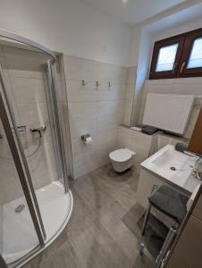 łazienka z prysznicem, toaletą i umywalką w obiekcie Wohnung im Zentrum von Graz w Grazu