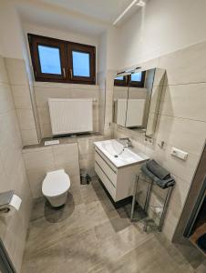 łazienka z umywalką, toaletą i lustrem w obiekcie Wohnung im Zentrum von Graz w Grazu