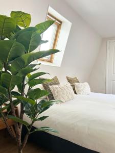 een slaapkamer met een bed met een plant ernaast bij Rembrandtplein Apartments in Amsterdam