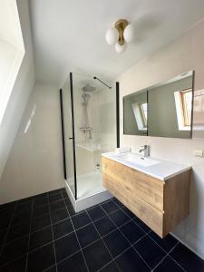 een badkamer met een wastafel en een douche bij Rembrandtplein Apartments in Amsterdam