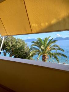 - Balcón con vistas a una palmera en Apartman Iva, en Gradac