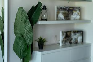 Fotografie z fotogalerie ubytování DeKo Penthouse Suite v Soluni