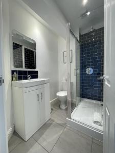 a bathroom with a shower and a sink and a toilet at Apartment 3 St Georges in Cheltenham