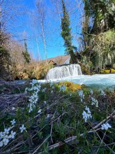 a waterfall with blue flowers in the foreground at Janjske otoke - smještaj na selu (Milorad Piljić) in Šipovo