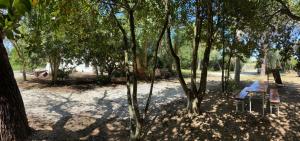 A garden outside Villa Laurus
