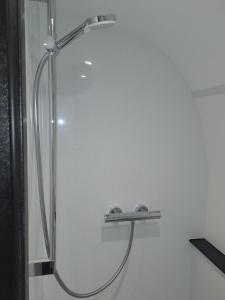 um chuveiro numa casa de banho com uma porta de vidro em Celtic Minor Pods em Ystalyfera