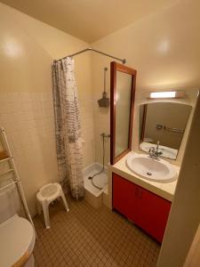 W łazience znajduje się umywalka, toaleta i lustro. w obiekcie Le D'Artagnan - App 12 - Balcon w mieście Cazaubon