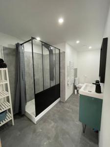 uma casa de banho com um chuveiro e um lavatório. em LA ROCHE em Verdun-sur-Meuse