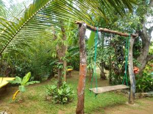 シギリヤにあるsigiriya village hostelのヤシの木の庭園内ブランコ