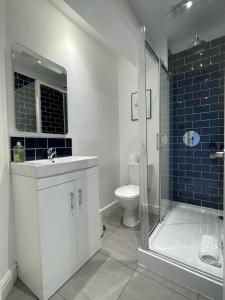 a bathroom with a shower and a sink and a toilet at Apartment 4 St Georges in Cheltenham