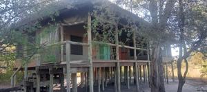 Foto dalla galleria di Hyenas Howl Cabins & Campground a Chobe