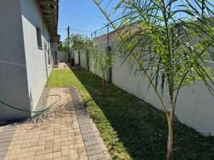 a small palm tree next to a building at Hi-Life Villa in Gaborone
